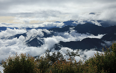 嘉義縣阿里山生態旅遊協會