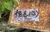墾漂的、回鄉的、結婚的—專訪留在恆春的人們，他們為何選擇南國風景？