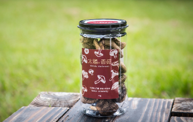 太陽的香菇