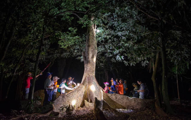 墾丁森林遊樂區夜間生態導覽