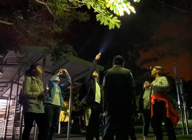 夜間鵝鑾鼻公園