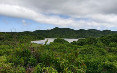 南仁山生態保護區環教解說