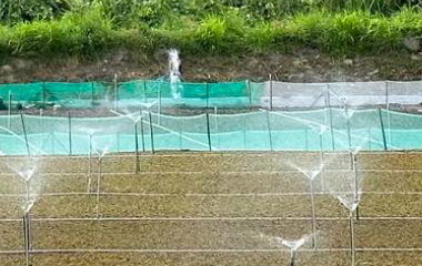 採雨來菇體驗