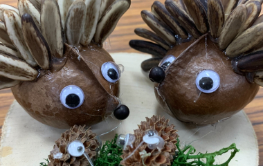 港口種子吊飾手作DIY體驗遊