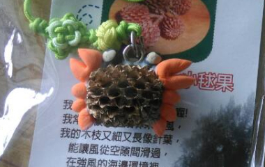 港口種子吊飾手作DIY體驗遊